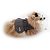 Roupa Pet para Cães Vestido Pet Fivela Croco Gola Pele Inverno Petisco - Imagem 2