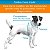 Roupa Pet para Cães Capa Blusa Pet Capuz Impetus Camuflada Petisco - Imagem 2