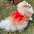 Roupa Pet para Cães Vestido Pet Luxo Festa Babados Organza Petisco - Imagem 6