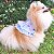Roupa Pet para Cães Vestido Pet Babados Laise Algodão Pet & Baby Petisco - Imagem 4
