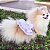 Roupa Pet para Cães Vestido Pet Babados Laise Algodão Pet & Baby Petisco - Imagem 6