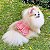 Roupa Pet para Cães Vestido Pet Babados Laço Puro Algodão Petisco - Imagem 3