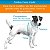 Roupa Pet para Cães Capa Blusa Pet Capuz Impetus Camuflada Petisco - Imagem 3