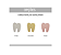 Carimbo Odontologia - Imagem 8