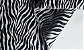 Tricoline Animal Print Zebra ( 0,50 m x 1,40 m ) - Imagem 5