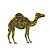 Quadro Decorativo 3D Camelo Huanaco Em Madeira - Imagem 1