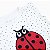camiseta babado joaninha poá - Imagem 4