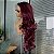 FULL LACE FRONT JADE MARSALA 13 x 6 - Imagem 2