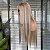 FULL LACE FRONT MELISSA PLATINADA COM MECHAS 13 X 6 - Imagem 5