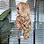 LACE FRONT JADE LOIRO PEROLADO COM MECHAS 13 X 4 - Imagem 5