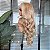 LACE FRONT JADE LOIRO PEROLADO COM MECHAS 13 X 4 - Imagem 5
