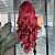 LACE FRONT JADE VERMELHA 13 X 4 - Imagem 4