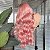 LACE FRONT JADE ROSA COM RAIZ 13 X 4 - Imagem 6