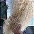LACE FRONT MORGANA LOIRA COM RAIZ 13 X 3 - Imagem 2