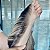 LACE FRONT ARIANA CASTANHO ACINZENTADO COM LUZES 13 x 4 - Imagem 8