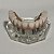 Manequim Odontológico Protocolo Superior 6 Implantes - Imagem 3