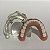 Manequim Odontológico Overdenture O-Ring Inferior - Imagem 7