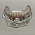 Manequins Modelos Odontológicos Protocolos  Sup. 4 Implantes e Inf. 4 Implantes - Imagem 6