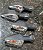 Conjunto Setas ORIGINAIS Kawasaki Z800 - Imagem 3