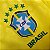 Camisa Brasil I 2022 – Feminina - Imagem 6