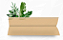 SEDA PAPELITO SLIM BROWN - Imagem 2