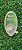 CAPSULA FRESH MINT - Imagem 3