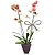 Orquídea Salmão com 02 Hástes no Vaso de Madeira - Imagem 1