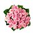 Buquê com 20 Rosas Cor de Rosa Nacionais - Imagem 1