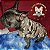 Roupas de Inverno Hope Pet Fashion - Imagem 2