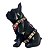 Peitoral + Guia Hope Pet Fashion by Bydoo - Imagem 3