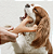 BENEBONE WISHBONE FRANGO - Imagem 2