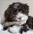 BENEBONE MAPLESTICK PUPPY P - Imagem 2