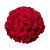Buquê com 24 Rosas Vermelhas Colombianas - Imagem 1