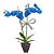 Orquídea Azul com 02 Hástes no Vaso de Madeira - Imagem 1