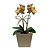 Orquídea Dourada no Cachepot de Papelão - Imagem 1