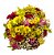 Buquê com Flores do Campo (Margaridas Coloridas, Mosquitinhos e Mix de Folhagem) - Imagem 1