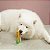 Milho Escova Dental De Tpr Com Ventosa para Pet- Oikos Animal - Imagem 1