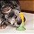 Milho Escova Dental De Tpr Com Ventosa para Pet- Oikos Animal - Imagem 3