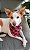 Bandana para Pet - Caruaru - Imagem 3