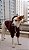 Moletom para Cachorro - Toffee - Imagem 5