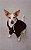 Moletom para Cachorro - Toffee - Imagem 6