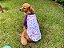 Camiseta para Cachorro e Gato - LOL - Imagem 6