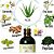 Colic Calm - Alívio natural para cólicas - Imagem 5
