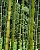 OCB BAMBOO SLIM - Papel para cigarros - 10 Volumes de 32 folhas - Imagem 3