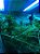Luminária com Lâmpada UVB e UVA para Cultivo Grow - Imagem 2