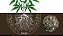 Micorriza InRoot enraizador 50g com Azospirillum brasilense e Rhizobium Bradyrhizobium Japonicum - Imagem 6