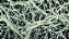 Micorriza InRoot enraizador 50g com Azospirillum brasilense e Rhizobium Bradyrhizobium Japonicum - Imagem 8