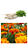 Kit de Sementes Flores que Atraem Insetos Benéficos e Repele Daninhos - Imagem 4