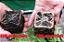 Micorriza InRoot enraizador 200g com Azospirillum brasilense e Rhizobium Bradyrhizobium Japonicum - Imagem 3