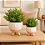 Kit Vasos Cerâmica Face Planters - Imagem 2